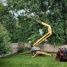 Best Lawn Pest Prevention  in Ammon, ID