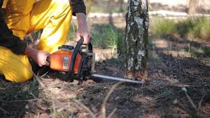 Best Utility Line Clearance  in Ammon, ID