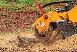 Best Lawn Irrigation Installation and Maintenance  in Ammon, ID